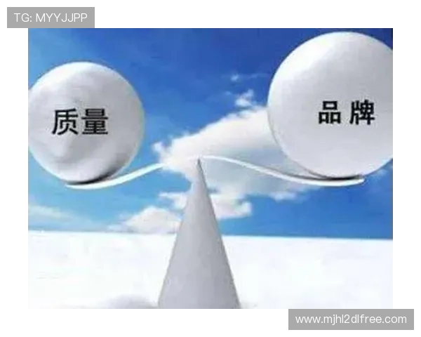 南宫旗下品牌的品牌故事与企业使命，塑造行业领导者形象